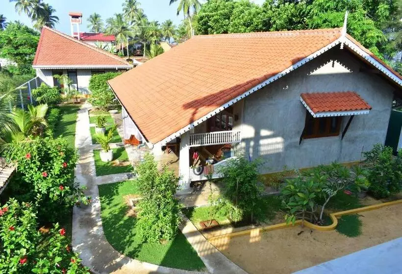 ホテル Thambili Cabanas