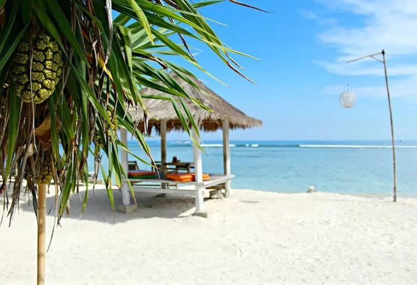 تختخواب و صبحانه Gili Tenda