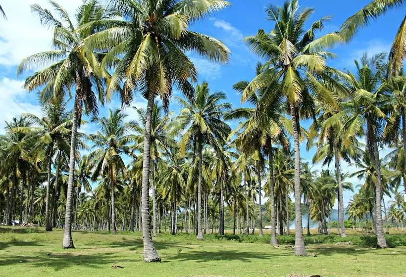 تختخواب و صبحانه Gili Tenda