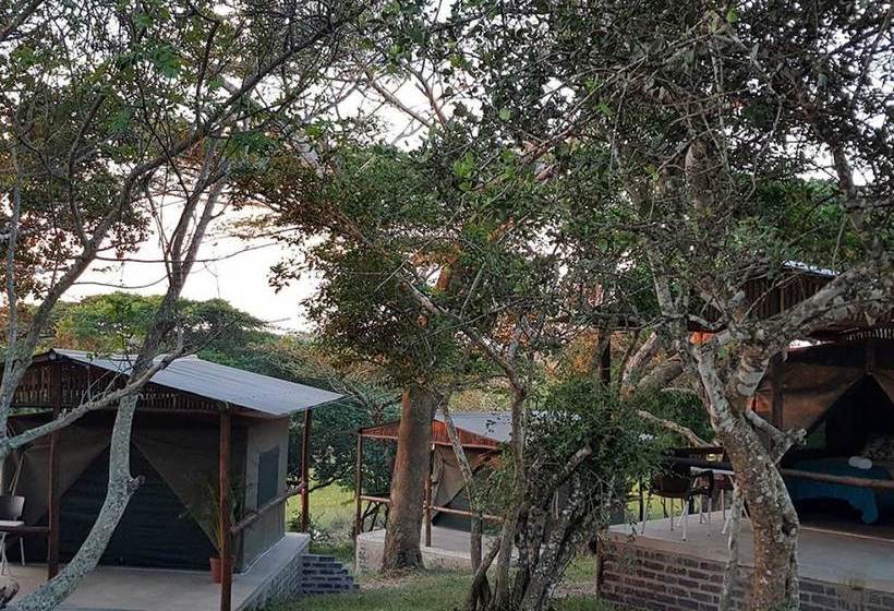 Отель Kingfisher Bush Lodge