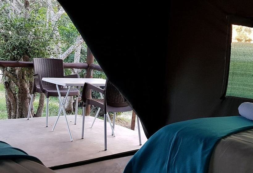 ホテル Kingfisher Bush Lodge