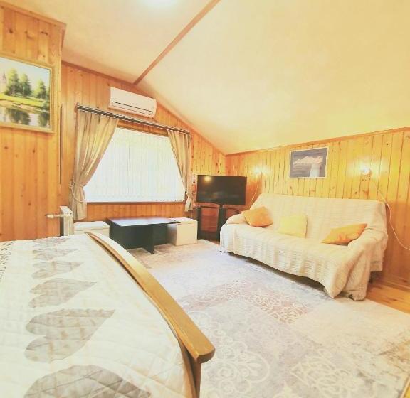 בית מלון כפרי Rodnik Guest House