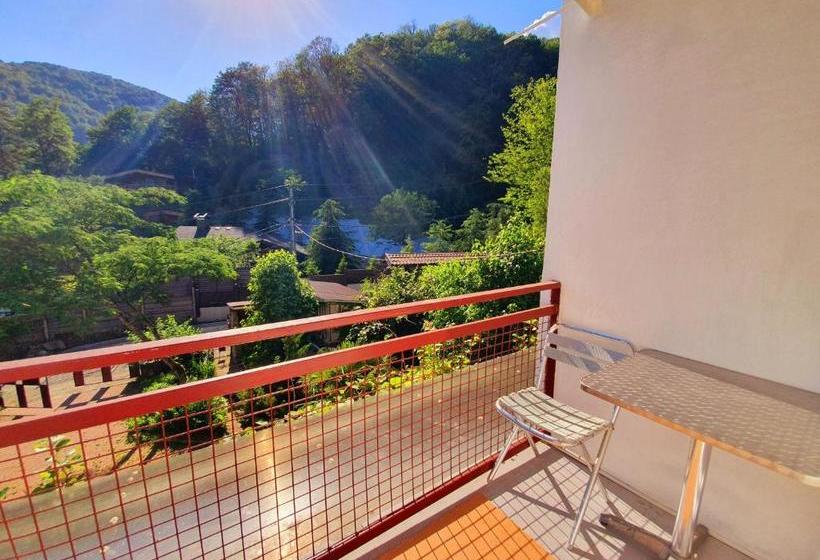 בית מלון כפרי Rodnik Guest House