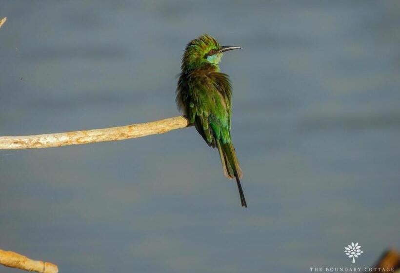 پانسیون The Boundary Yala
