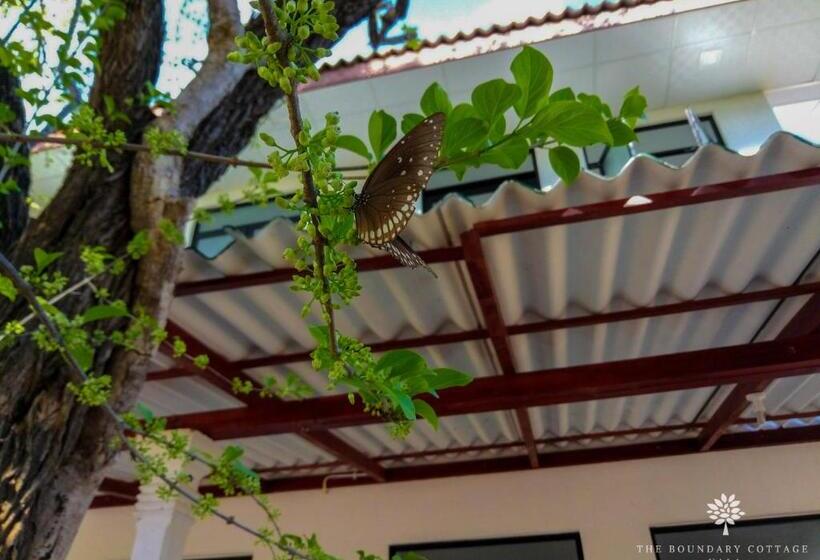 پانسیون The Boundary Yala