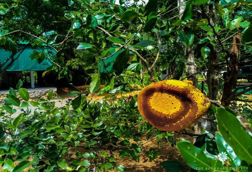 پانسیون The Boundary Yala