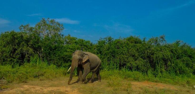 پانسیون The Boundary Yala