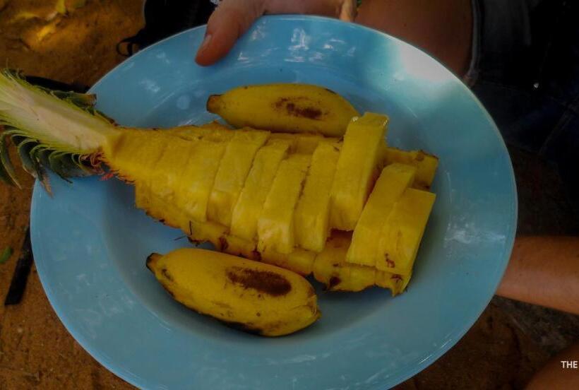 پانسیون The Boundary Yala