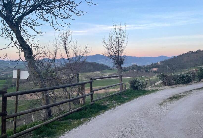 Agriturismo B&b La Cerasa