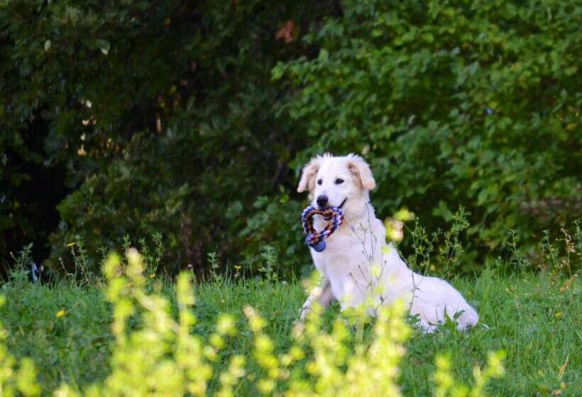 Agriturismo B&b La Cerasa