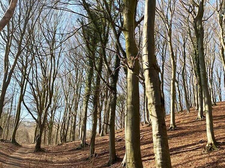 Basballegaard Bed & Breakfast