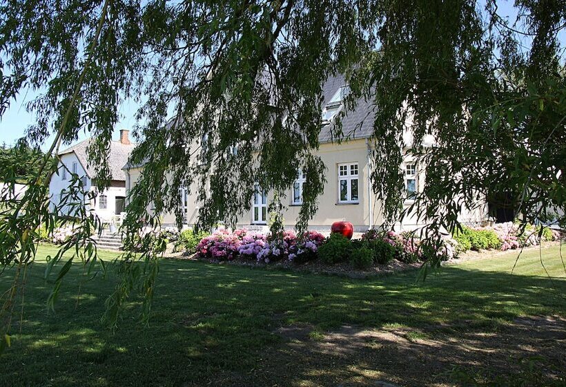 Basballegaard Bed & Breakfast