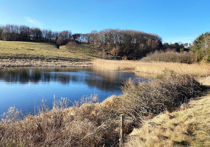 Basballegaard Bed & Breakfast