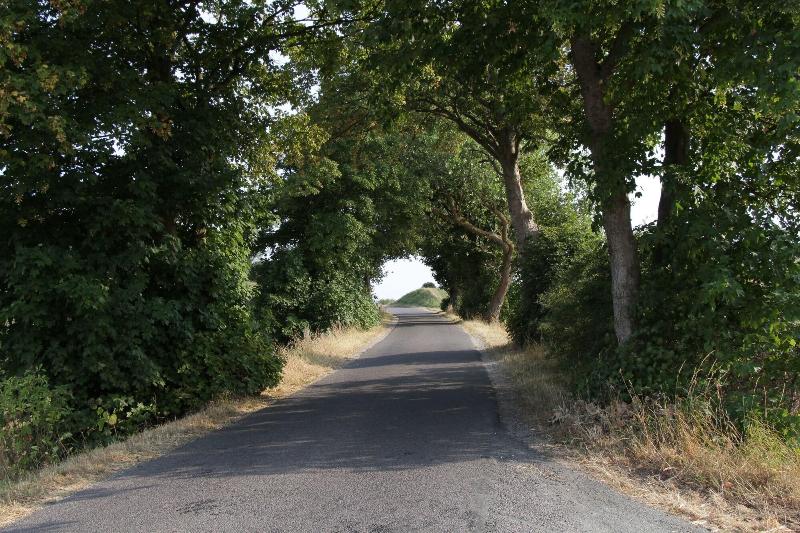 Basballegaard Bed & Breakfast