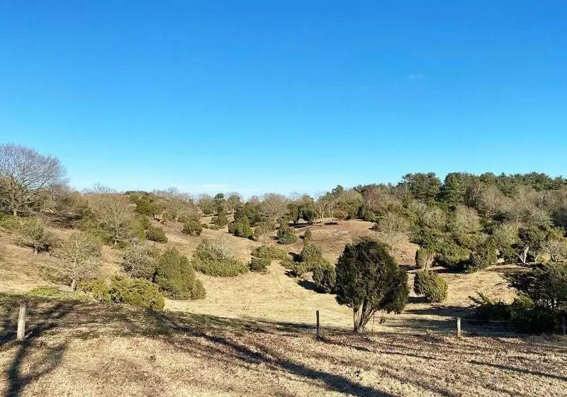 Basballegaard Bed & Breakfast