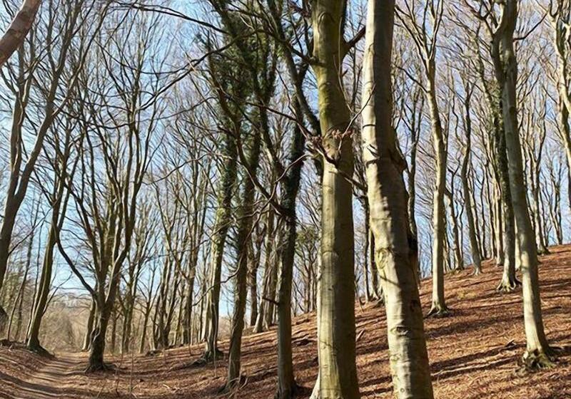 Basballegaard Bed & Breakfast