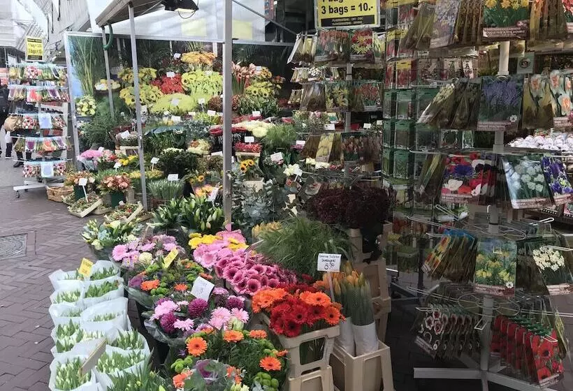 Aamiaismajoitus (B&B) Amsterdam4holiday