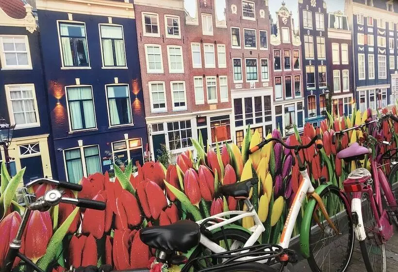 Aamiaismajoitus (B&B) Amsterdam4holiday