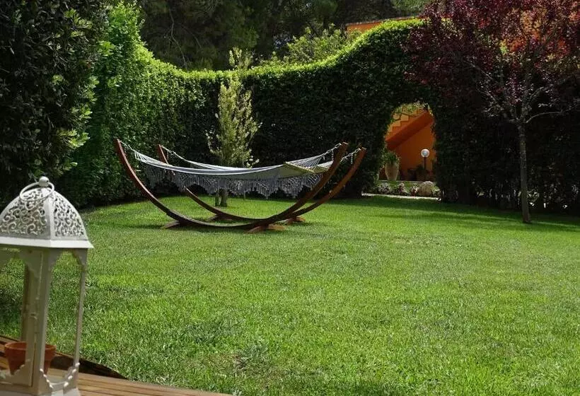 ベッドアンドブレックファースト Sole Del Mediterraneo