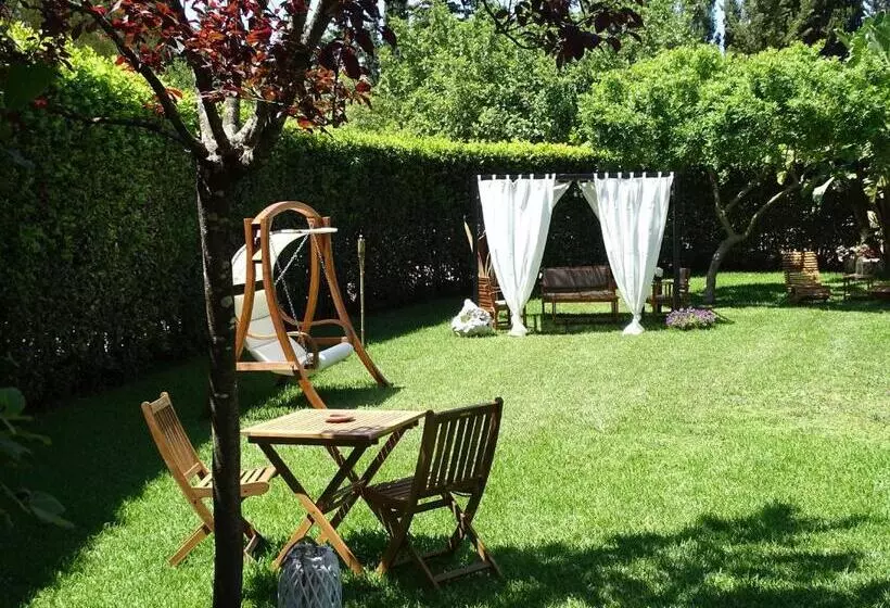 ベッドアンドブレックファースト Sole Del Mediterraneo