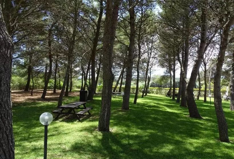 ベッドアンドブレックファースト Sole Del Mediterraneo