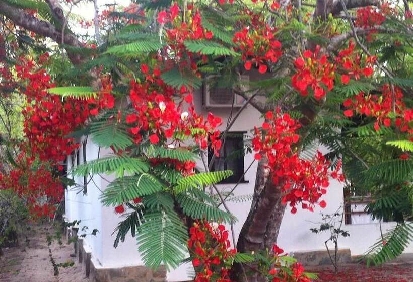 Hotel Pousada Victor Hugo