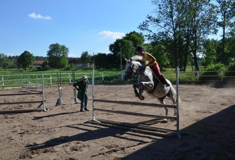 بنسيون Dworek Mazurski Lizer