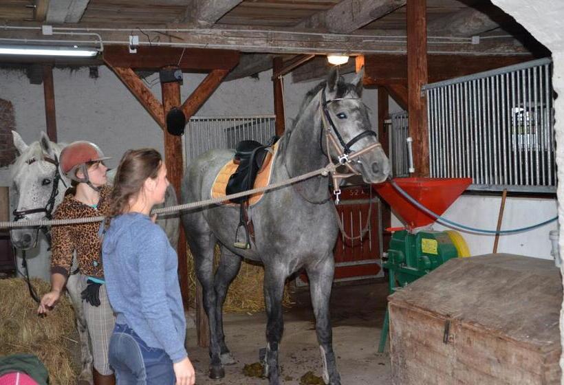 بنسيون Dworek Mazurski Lizer