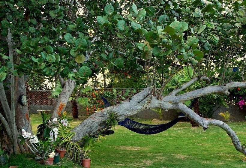 Seagrapes 5br By Jamaican Treasures