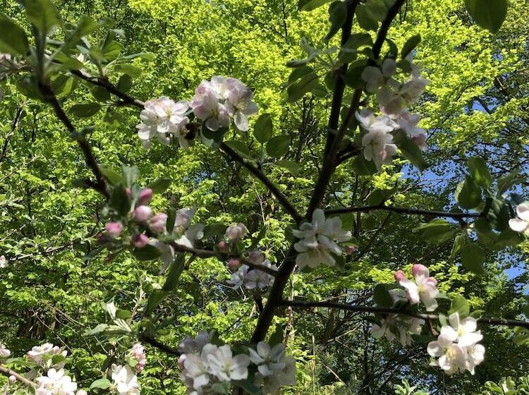 Bed and Breakfast Riverside Inn