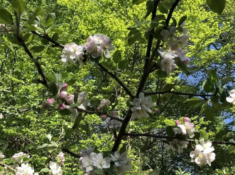 Bed and Breakfast Riverside Inn