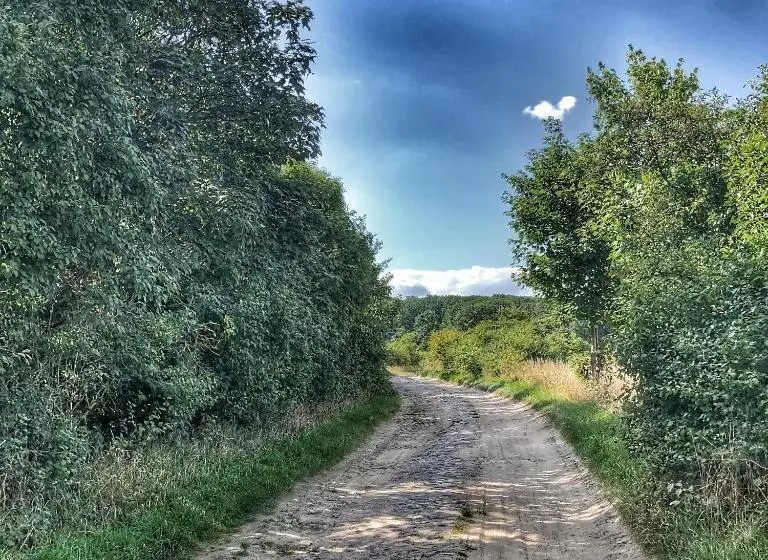 Bed and Breakfast Riverside Inn