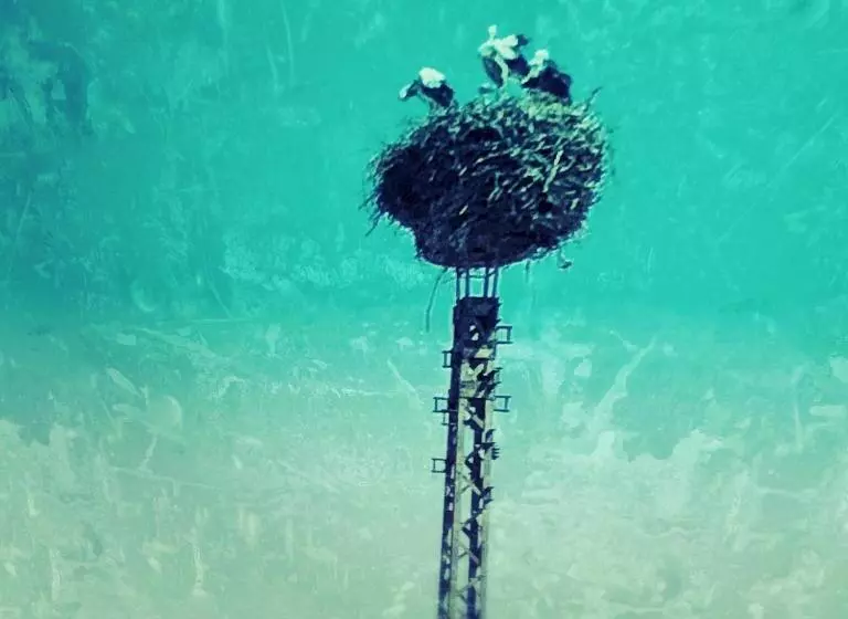 Bed and Breakfast Riverside Inn