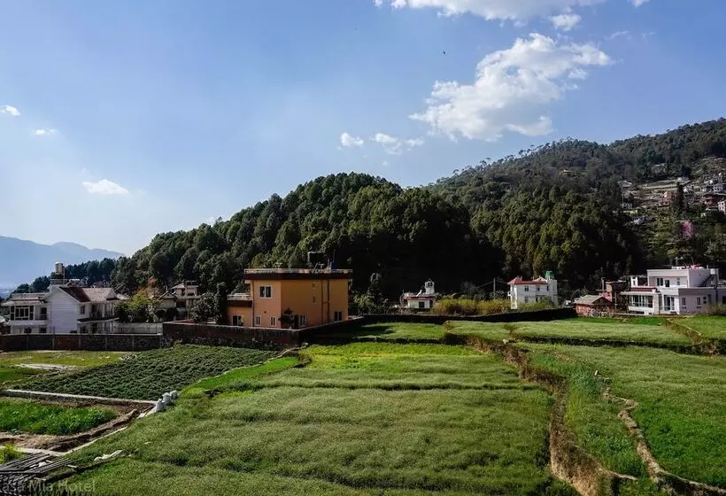 هتل Casa Mia