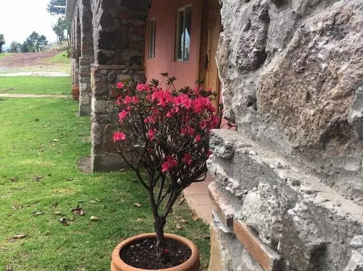 ホテル Rancho Escondido Casa Goyri