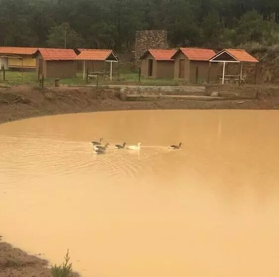 ホテル Rancho Escondido Casa Goyri