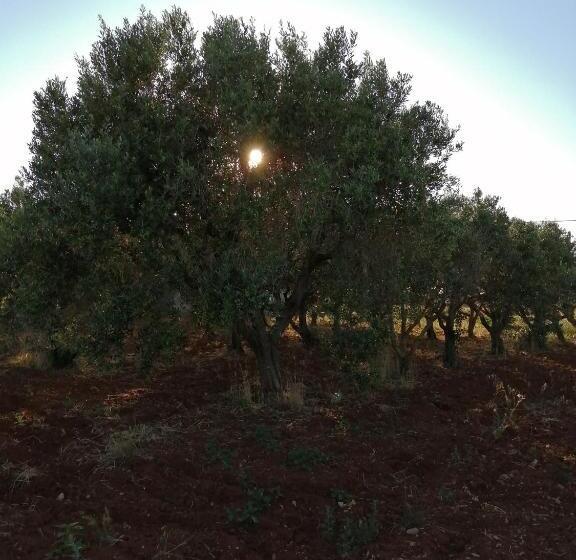 בית מלון כפרי Agriturismo Tenuta Perruzzi