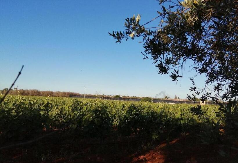 בית מלון כפרי Agriturismo Tenuta Perruzzi