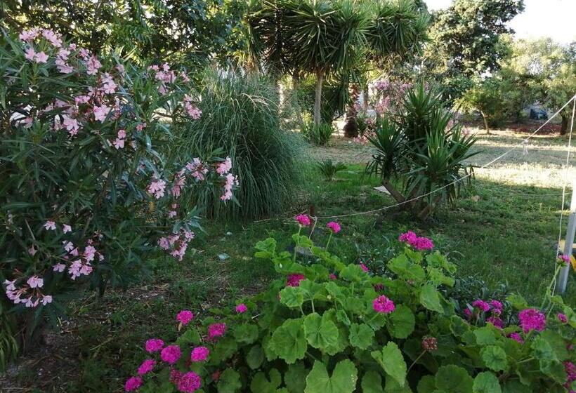 בית מלון כפרי Agriturismo Tenuta Perruzzi