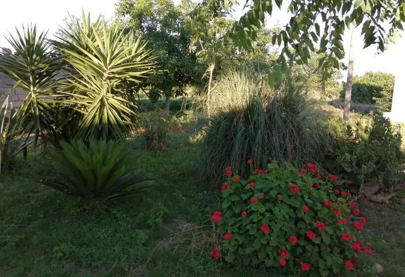 田舎風ホテル Agriturismo Tenuta Perruzzi