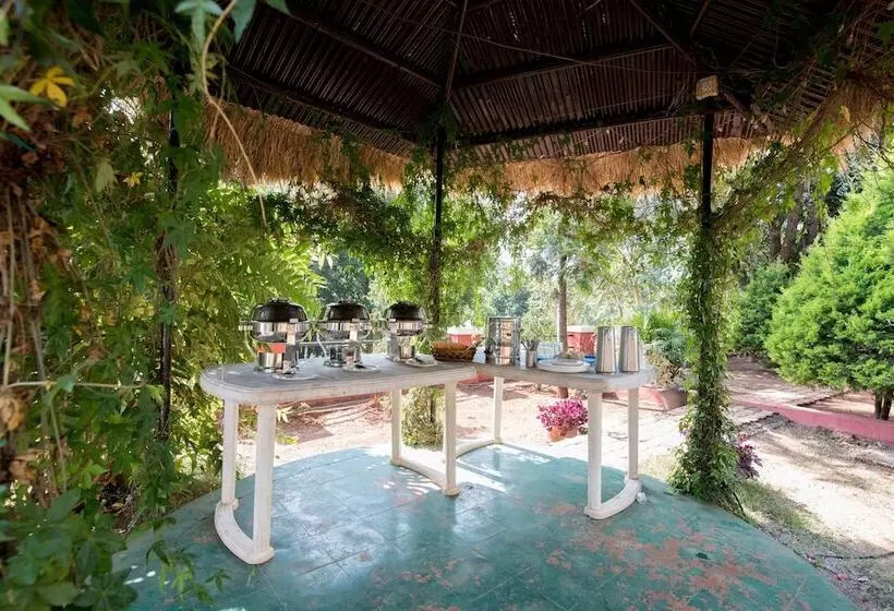 هتل Umbrella Inn