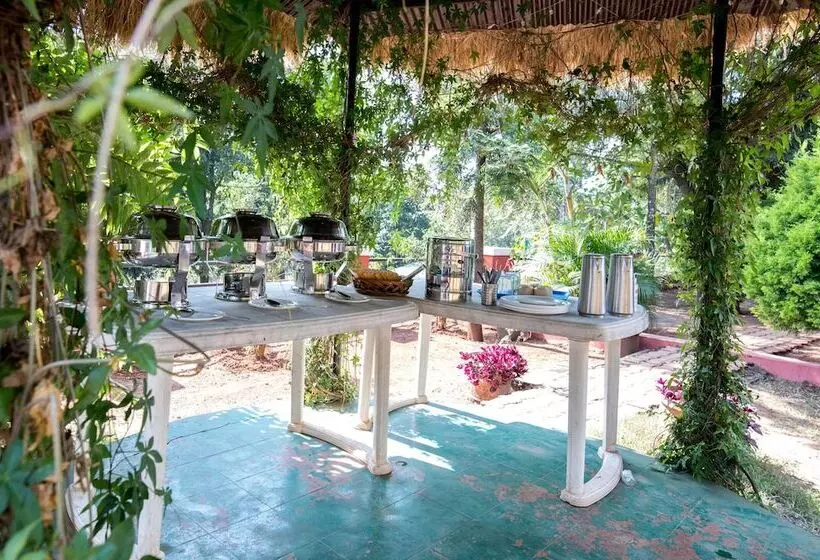 هتل Umbrella Inn