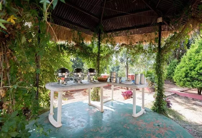 هتل Umbrella Inn