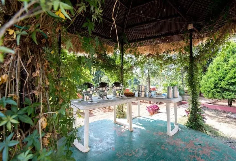 هتل Umbrella Inn