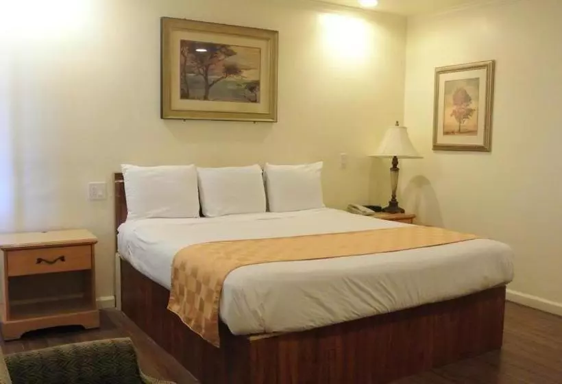 호텔 777 Motor Inn