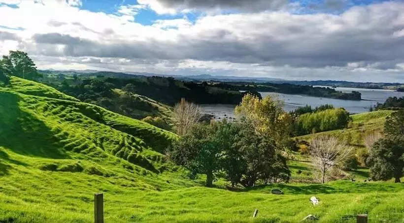 Aamiaismajoitus (B&B) Mahurangi West Wing