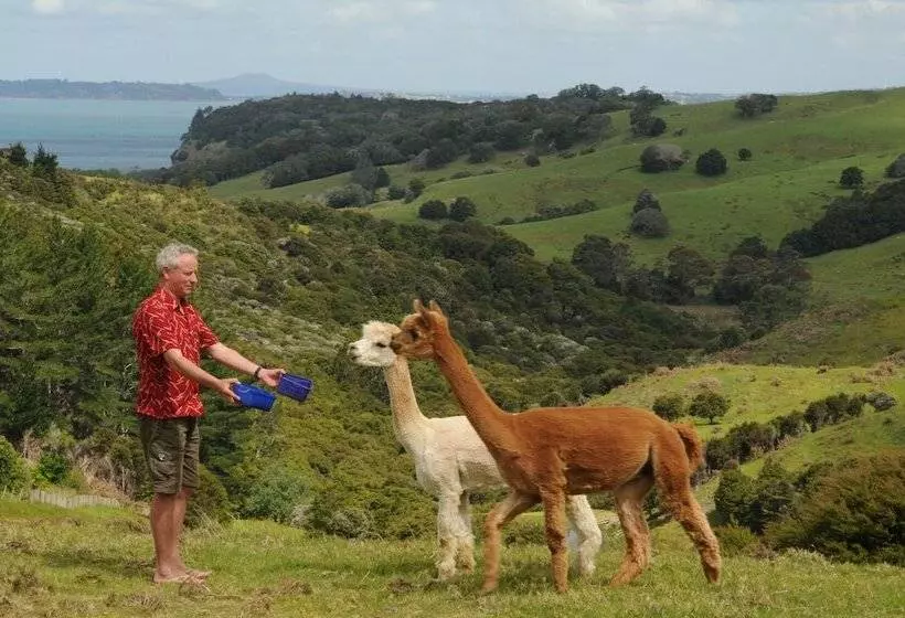 Aamiaismajoitus (B&B) Mahurangi West Wing