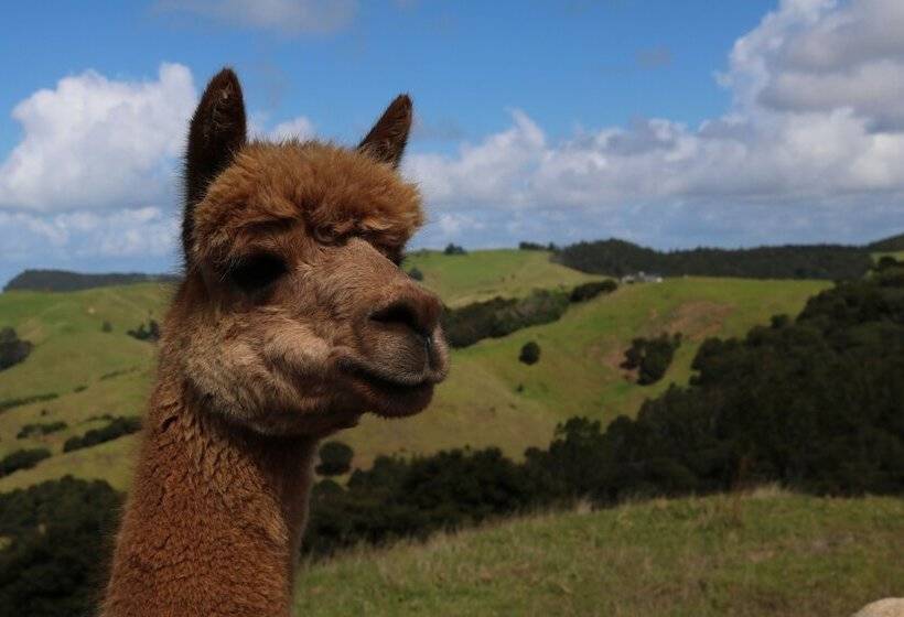 민박 Mahurangi West Wing