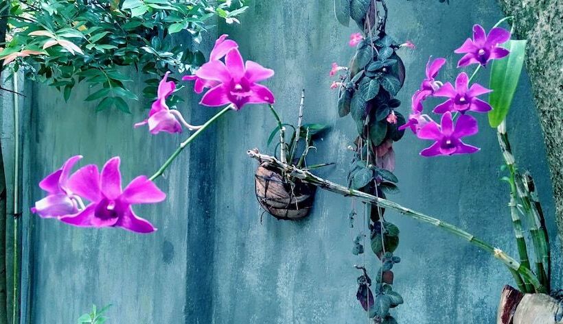 Bed and Breakfast Unawatuna Nor Lanka