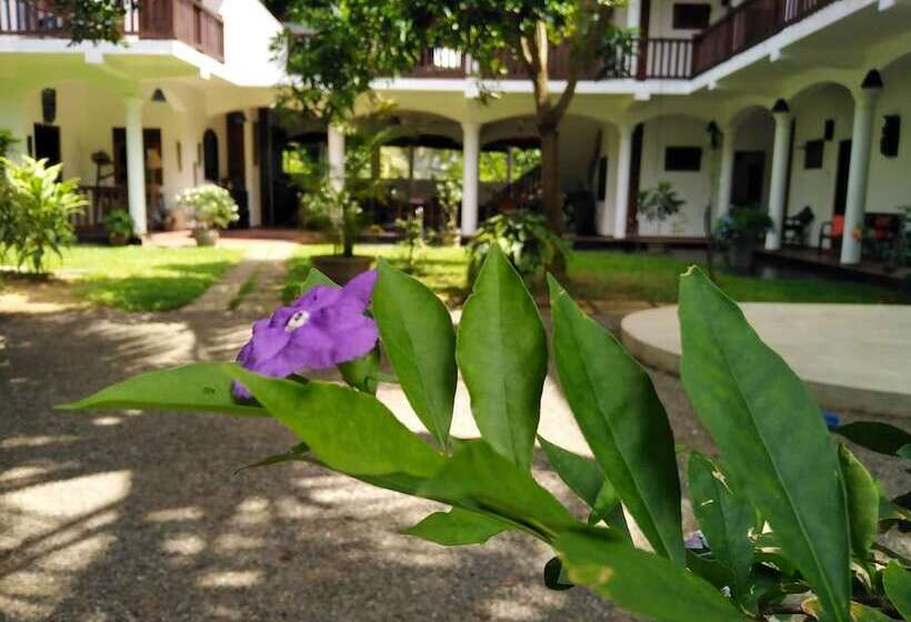 Bed and Breakfast Unawatuna Nor Lanka